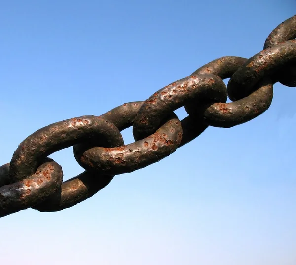 Crypto官网入口，通往财富自由的传送门，还是一个陷阱？