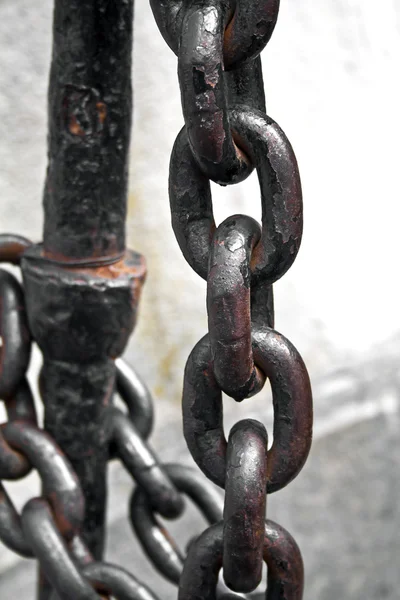 数字货币和加密货币有什么区别？—它们真的是一样的吗？