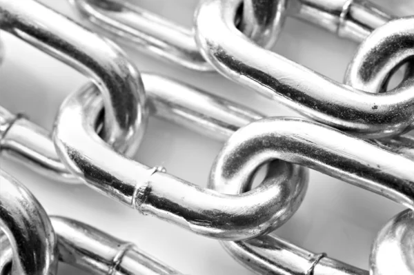 Bitcoin查询，怎么才不被“韭菜”割？一看就懂的投资解读