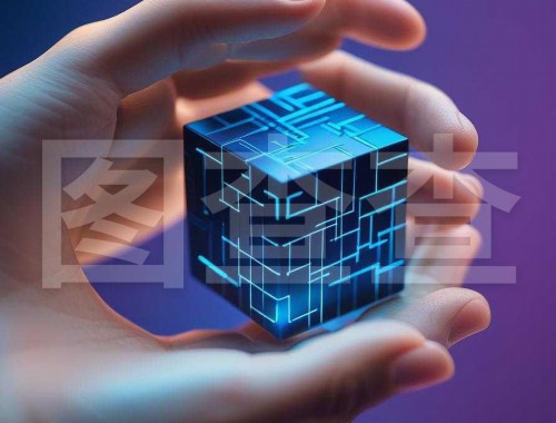 Bitcoin链上激励软件，聪明投资者的“宝藏”还是陷阱？